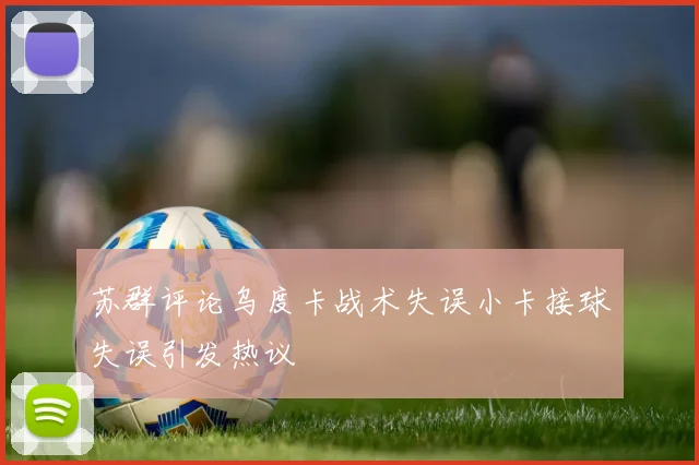 苏群评论乌度卡战术失误小卡接球失误引发热议